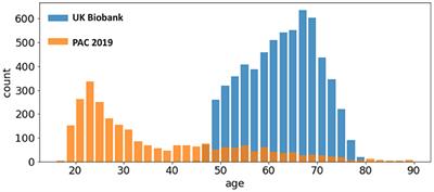 Optimising a Simple Fully Convolutional Network for Accurate Brain Age Prediction in the PAC 2019 Challenge